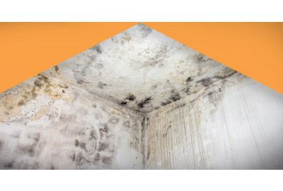 Indoor Air Quality, Mold, and Your Facility: What You Need to Know